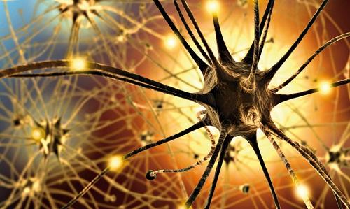 Neurogeneza
