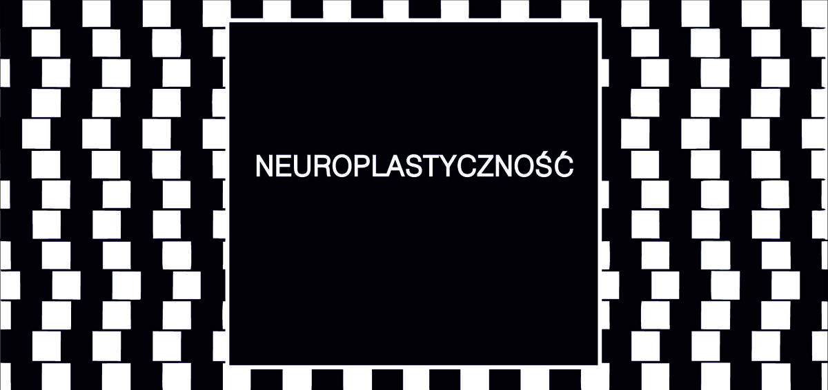 Neuroplastyczność i jej wpływ na rozwój uszkodzonego mózgu