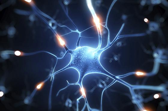 Neuroprzekaźniki i ich rola w podejmowaniu decyzji
